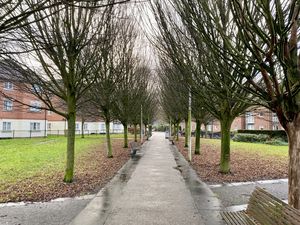 Surrounding Area- click for photo gallery